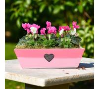 Pink White Wooden Trough Planter Vibrant Garden Flower Planter Planter Garden Plant