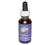 Pink Yarrow Dropper 1 Oz by Flower Essence Services