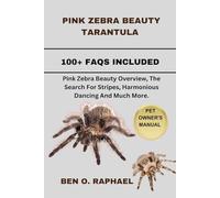 PINK ZEBRA BEAUTY TARANTULA: Pink Zebra Beauty Overview, The Search For Stripes, Harmonious Dancing And Much More.