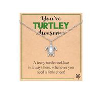 PINKDODO You're Turtley Awesome- Turtle Necklace Gifts for Women Teenage Teen Girls, Stainless Steel, No Gemstone
