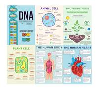 PINKEESEA 6 Science Posters for Classroom Middle School Classroom Must Haves - 10x14in Biology Posters for High School, Biology Decor, Middle School Supplies