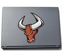 Pinkelephant Sport 031 150 x 131 mm Mad Falcon Sticker Skin for Laptop