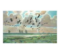Pinkfooted Geese, Sir Peter Scott - Medici Print