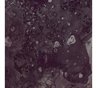 Pinkish Black - Razed To The Ground [VINYL]
