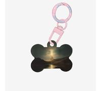 Pinnacle of High Light Printed Acrylic Bone-Shaped Pet Tag with Colorful Chain and Lovely Pet Identification Tag.