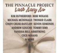 Pinnacle Project - Bricks Without Straw 1