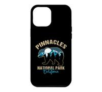 Pinnacles National Park California USA Hiking Camping Case for iPhone 12 Pro Max