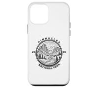 Pinnacles National Park, Vintage Style, Nature Lover Case for iPhone 12 mini