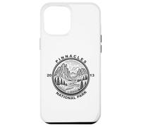 Pinnacles National Park, Vintage Style, Nature Lover Case for iPhone 12 Pro Max