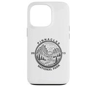 Pinnacles National Park, Vintage Style, Nature Lover Case for iPhone 13 Pro