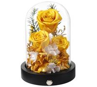 Pinnetetti Preserved Flowers in Glass Dome with LED, Forever Yellow Roses for Delivery, Valentines Day Anniversary Birthday Mothers Day Flower Gifts for Mom Her Women Wife Mother