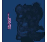 Pino Palladino & Blake Mills : That Wasn't a Dream CD (2025) NEW