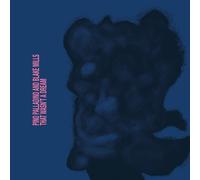 Pino Palladino Blake Mills - That Wasn't A Dream