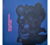 Pino Palladino Blake Mills - That Wasn't A Dream [VINYL]