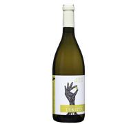 Pinot Grigio 2024 - Vigna Lenuzza
