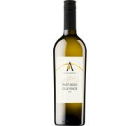 Pinot Grigio Delle Venezie 2025 - Ville d'Arfanta