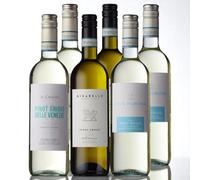 Pinot Grigio Italian White Wine Mixed Six Bottle Case Bundle 6x75 ustomer Favourites 2 Bottles of Mirabello, Il Caggio & Vino Pomona