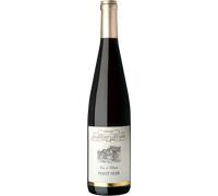 Pinot Noir 2023 - Domaine Allimant-Laugner