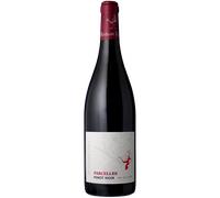 Pinot Noir - Parcelles 2024 - Réthoré Davy