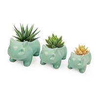 Pinsjar 3 Pack Succulent Plant Pots, Ceramic Planters Mini Cute Animal Planters for Potted Plants Cactus Flowers Home Decor Crafts Gifts