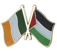 Pinstant Ireland Irish Palestine Palestinian National Flag Crossed Flags Friendship Love Alliance Allies 1" Enamel Pin, 1 Inch, Enamel, enamel