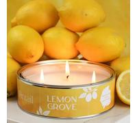Pintail Candle Triple Wick Lemon Grove Scented Candle