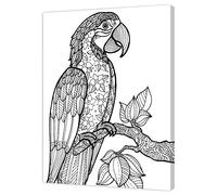 Pintcolor 7805.0 Frame with Printed Canvas Colouring, Fir Wood, white/black, 40 x 50 x 3.5 cm