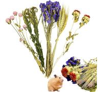 PINVNBY Natural Flower & Herb Hamster Bedding Habitat Decor Guinea Pig Bedding Hamster Sprays Hamster Cage Accessories for Guinea Pig Dwarf Syrian Gerbils Mice Mouse Rat (Flower Version)