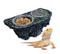 PINVNBY Reptile Magnetic Feeder Ledge