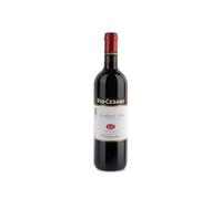 Pio Cesare Barbera D'Alba 2022