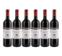 Pio Cesare Barbera d'Alba, Italian Red Wine, CASE OF 6 X 750ml