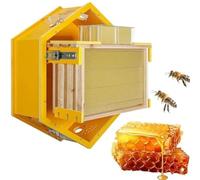 PioMue Observation Beehive Starter Kit, Wall-Mounted Hexagon Bee Hive, Self-Flowing Honey Beehive, 3 Frames & 6 Honeycomb Trays, Honey Bee Hive for Indoor, Garden, Educational Beekeeping