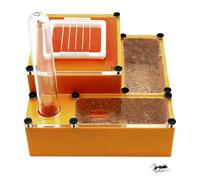 PioneerAnts Ant Farm Professional Small Ant Habitat (3.9" x 3.9"x 2.17") - Moisture Controlled Nests with Biometric Sand Layer - Ideal for Hobbyist Myrmecology(Orange)