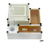 PioneerAnts Professional 3D Printed Ant Formicarium, White Acrylic, Small Enclosed Design with Multiple Chambers, Water Port, 8x4x1.5 Inches (White)