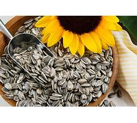 PIPAS - Giant Spanish In-Shell Sunflower Seeds Roasted & Salted - 400g