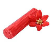 Pipe Cleaners Chenille Stems Twist Bar Anvil Wire DIY Handmade Plush Strips 100pcs Craft Pipe Children Stick Sticks(14)