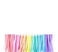 Pipe Cleaners Chenille Wire Pipe Creative Wires Cleaners Colorful Stems DIY Plush Stem Wired Twist Stick(Color 1,300PCS)