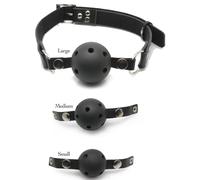 Pipedream Ball Gag Training System