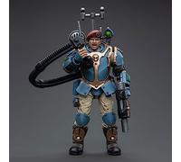 Pipigirl JoyToy 40K Authentic Licensed 1/18 Movable Figure, Astra Militarum Tempestus Scions Command Squad 55th Kappic Eagles Vox Operator, 4 inch Action Figure Animated Model (Vox Operator)