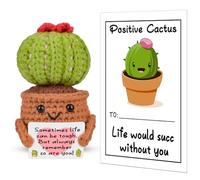 Pipihome Pocket Hug Cute Potato with Positive Affirmation Cards, Emotional Support Cactus Crochet Good Luck Gifts