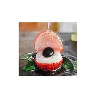 pipisweet Resin Color Changing Litchi Tea Pet Tea Accessories Household Office Fruits Decoration Play Toy(Type1)