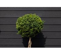 Piranha Composite Solutions Piranha Traditional Composite Cladding - Black Carbon