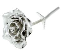 Pirantin Everlasting Rose Womens Gift Idea - Single Metal Rose That Never Dies Like your Love