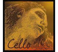 Pirastro Evah Pirazzi Gold Cello D Str.
