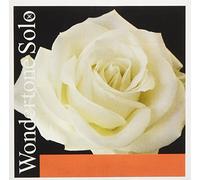 Pirastro 410321 Wondertone Solo Violin D'-3 Medium