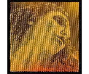 Pirastro 419095 Evah Pirazzi GOLD Violin Set (G-Silver, E-loop) medium