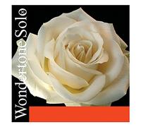 Pirastro E Loop Silvery Steel 26 Envelope For Violin Wondertone Solo