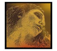 Pirastro Evah Pirazzi Gold Cello String Set