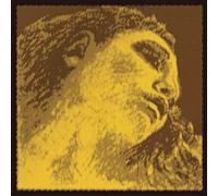 Pirastro Evah Pirazzi Gold Violin String Set - Gold Wound G - Loop E - Medium Gauge