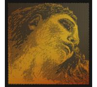 Pirastro Evah Pirazzi GOLD Violin Strings 4/4 SET E-Kg. o Schl. G-SILVER, Medium